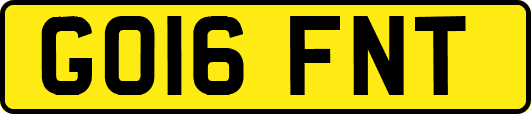 GO16FNT