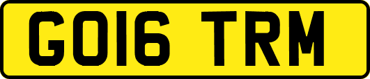GO16TRM