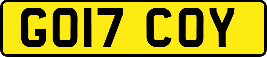 GO17COY