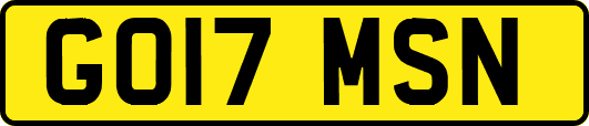 GO17MSN