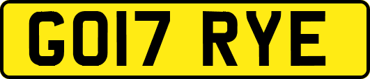 GO17RYE