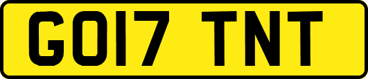 GO17TNT