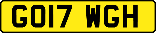 GO17WGH