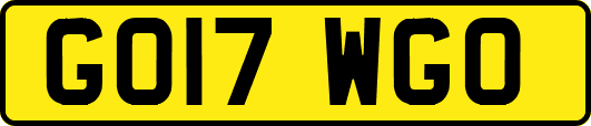 GO17WGO