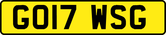 GO17WSG