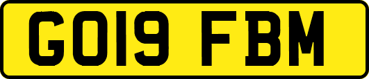 GO19FBM