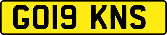 GO19KNS