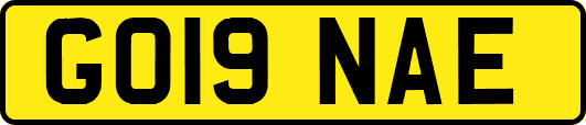 GO19NAE