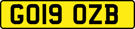GO19OZB