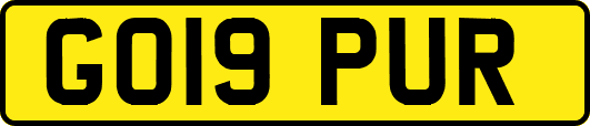 GO19PUR