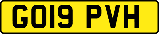 GO19PVH