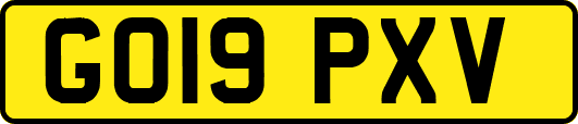 GO19PXV