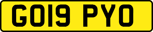 GO19PYO