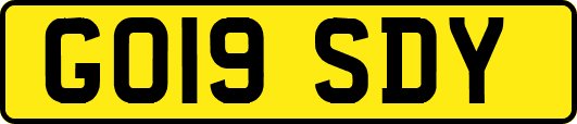GO19SDY