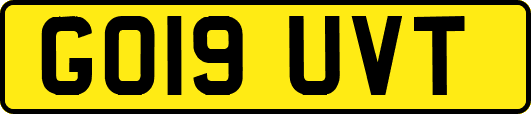 GO19UVT