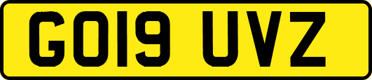 GO19UVZ