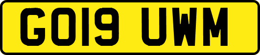 GO19UWM