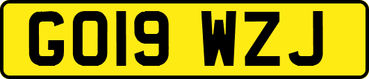 GO19WZJ