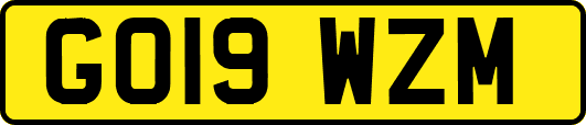 GO19WZM