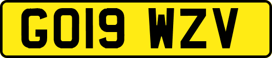 GO19WZV