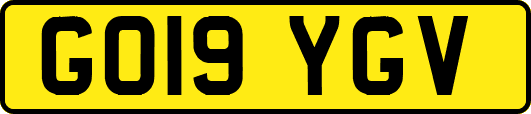 GO19YGV