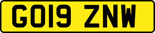 GO19ZNW