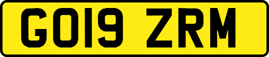 GO19ZRM