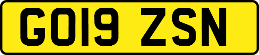 GO19ZSN