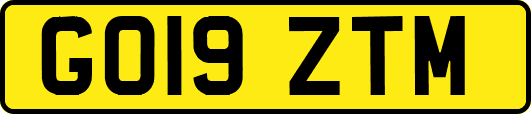 GO19ZTM