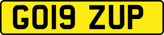 GO19ZUP