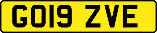 GO19ZVE