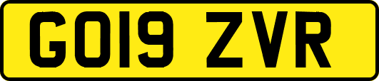 GO19ZVR