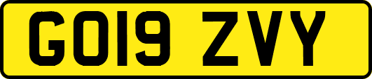 GO19ZVY