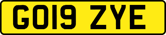 GO19ZYE