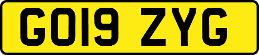 GO19ZYG