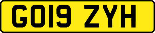 GO19ZYH