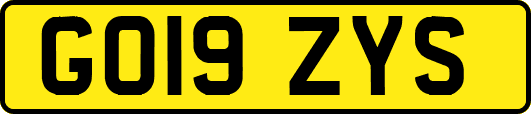 GO19ZYS