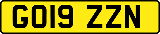 GO19ZZN