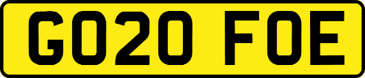 GO20FOE