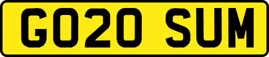GO20SUM