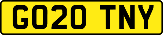 GO20TNY