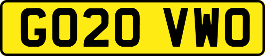 GO20VWO
