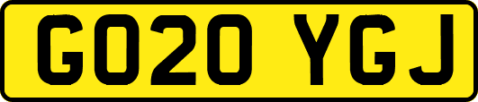 GO20YGJ