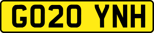 GO20YNH