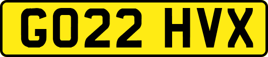 GO22HVX