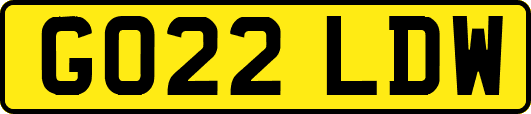 GO22LDW