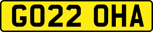 GO22OHA