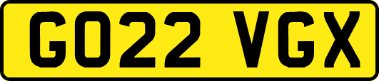 GO22VGX