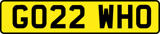GO22WHO