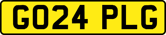 GO24PLG